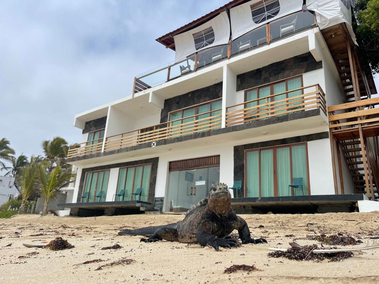 Bed and Breakfast Cormorant Beach House à Puerto Villamil Extérieur photo